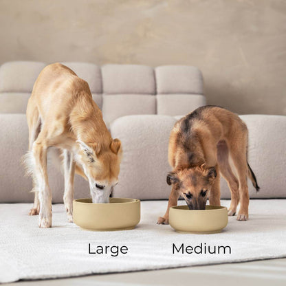 Two dogs, one eating out of the large bowl, the other from the medium-sized bowl