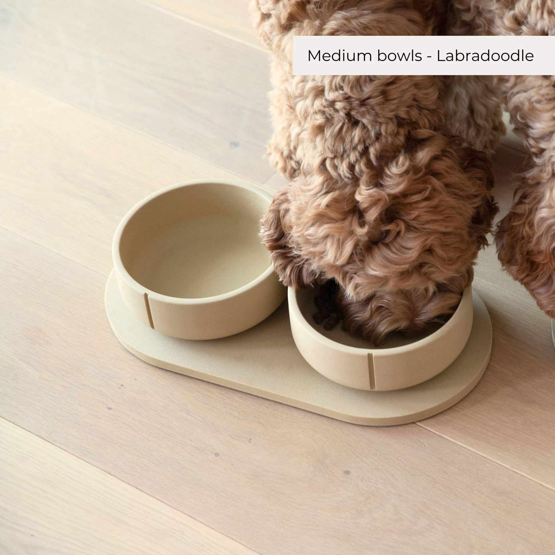A Pino set withe two camel brown bowls and a tray. A dog eats out of it.