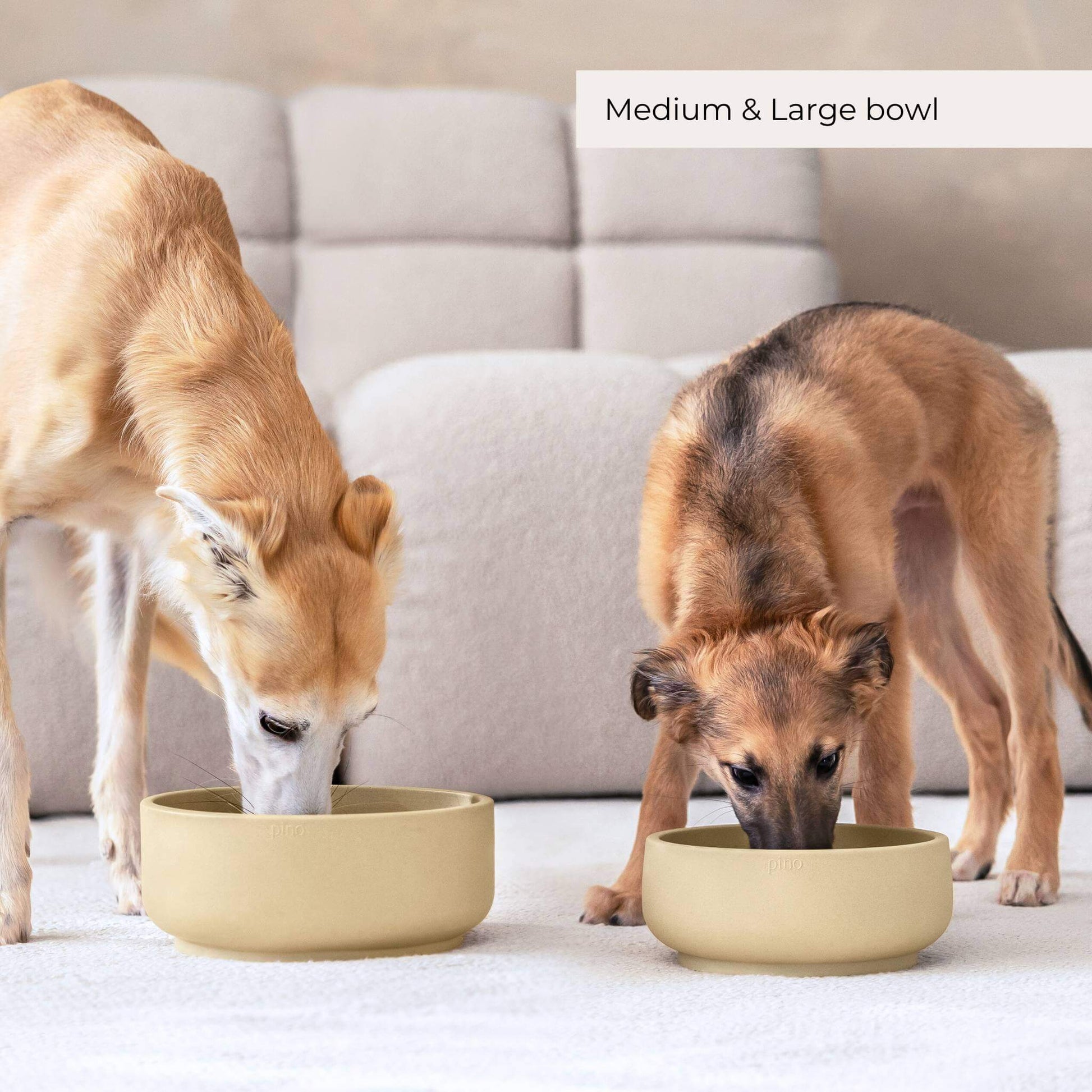 Two dogs eating out f two bowls. One medium bowl and one large bowl