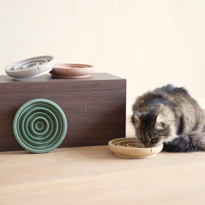 A cat with the four diffrent bowls
