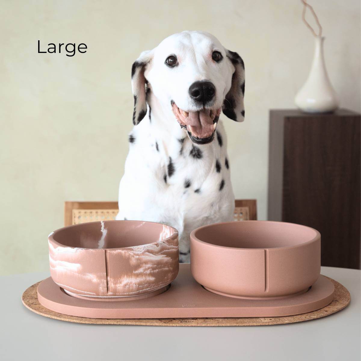 A large sized dog with the foxy terra large bowl