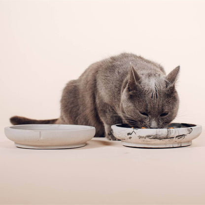 a grey cat eating out of  a dolphin grey set of bowls