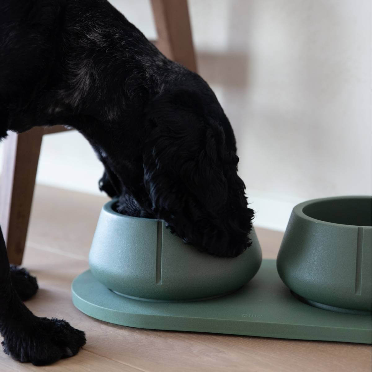 a dog with long ears eating out of a duck green long ears bowl