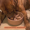 A video that shows a dog eating from a slow feeder bowl produced by Pino 